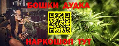 гидра Анжеро-Судженск