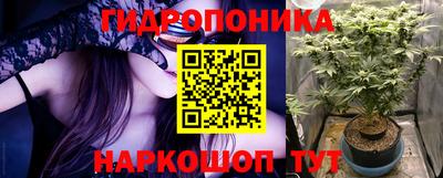 гидра Анжеро-Судженск