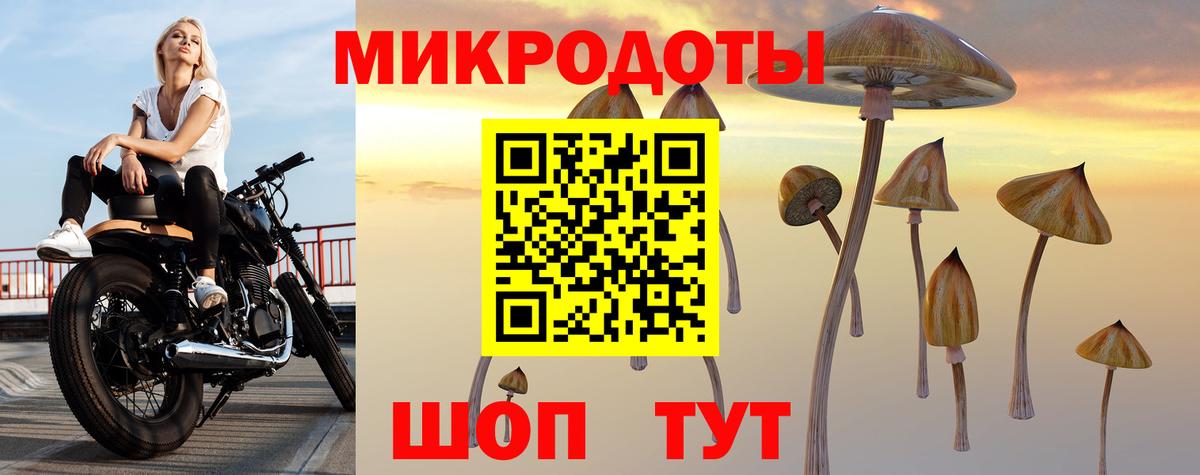 Галлюциногенные грибы прущие грибы Свободный